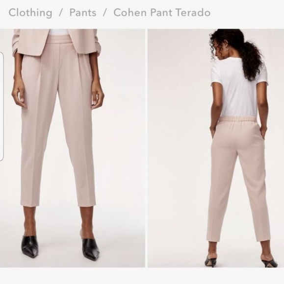 Aritzia Babaton Cohen Pants - Picture 2 of 5
